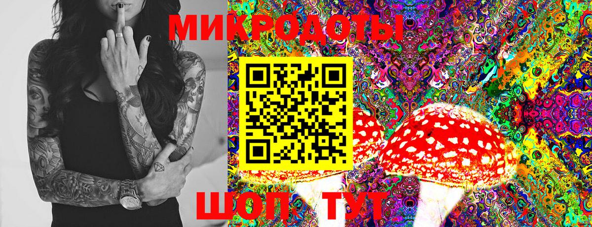 Псилоцибиновые грибы GOLDEN TEACHER Магадан