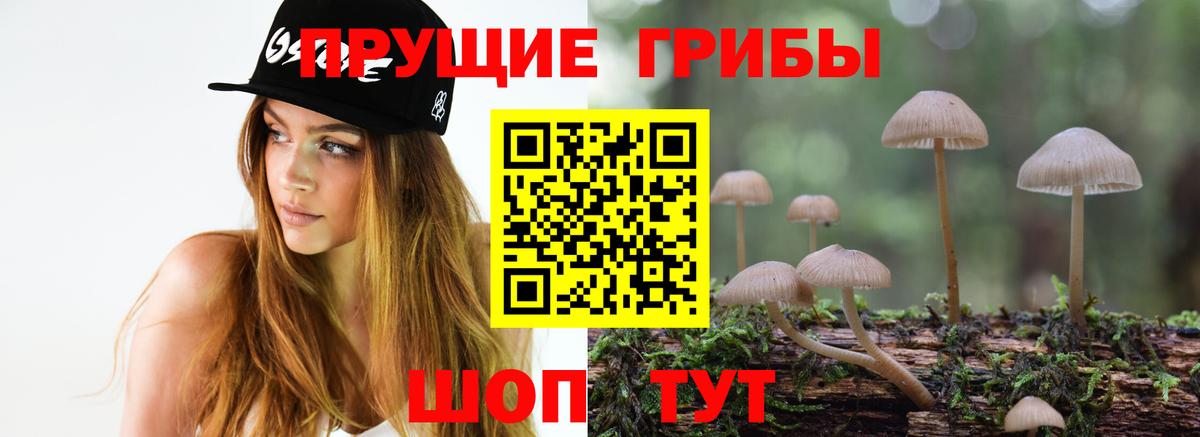 Псилоцибиновые грибы Psilocybine cubensis  Псилоцибиновые грибы Psilocybine cubensis  Магадан  Вход с VPN 